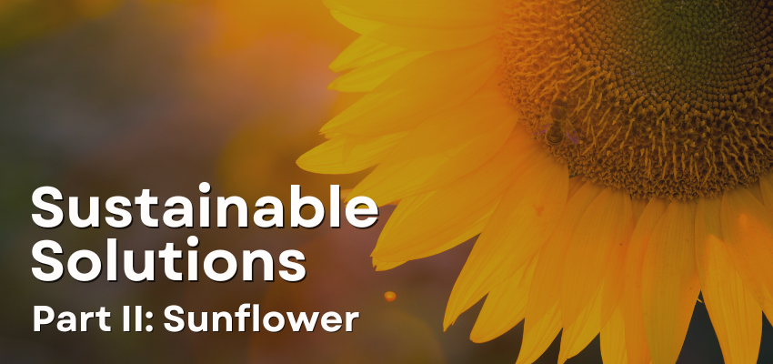 Sustainable Solutions Part II : Sunflower